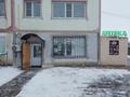 Еркін, медорталықтар мен дәріханалар · 55 м², бағасы: 28 млн ₸ в Переметном — фото 3