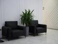 Конференц-залдар · 150 м², бағасы: 50 000 ₸ в Шымкенте, Каратауский р-н — фото 11