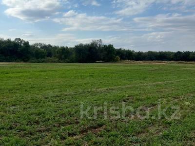 Участок · 114 га, Долан за 65 млн ₸