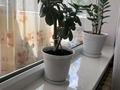 2-комнатная квартира · 54 м² · 4/9 этаж, Язева 10 за 21 млн ₸ в Караганде, Казыбек би р-н — фото 6