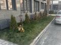 2-бөлмелі пәтер · 48.5 м² · 3/6 қабат, Илтипат 49, бағасы: 300 000 ₸ в Алматы, Наурызбайский р-н — фото 12