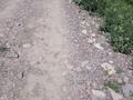 Участок · 8 соток, Бекетаи 131,а — Алатау за 2.2 млн ₸ в Каргалы (п. Фабричный) — фото 2