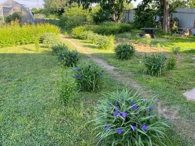 Участок · 72 сотки, Бирлик за 72 млн 〒