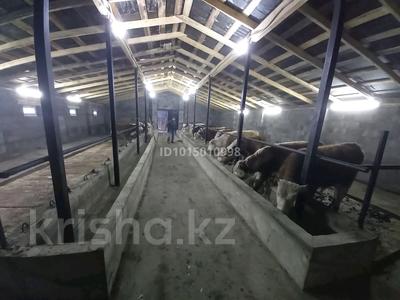 Ауыл шаруашылығы · 220 м², бағасы: 65 млн ₸ в Подстепном