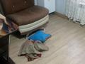 Отдельный дом · 2 комнаты · 30 м² · 6 сот., мкр Шанырак-1 — Спорт школа за 130 000 ₸ в Алматы, Алатауский р-н — фото 10