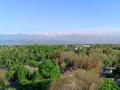 1-комнатная квартира · 52 м² · 9/10 этаж, Сейфуллина — Кассина за 16 000 〒 в Алматы, Турксибский р-н — фото 25