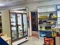 Магазины и бутики · 96.7 м² за 32 млн 〒 в Теренозеке — фото 14