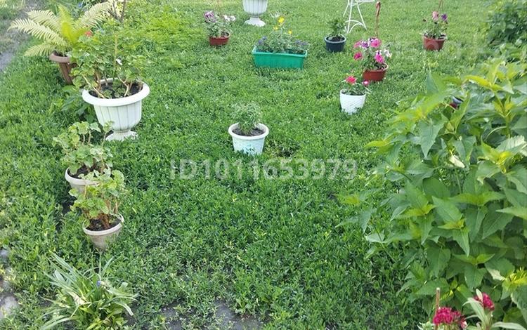 Саяжай · 5 бөлме · 100 м² · 6 жүзд., Байгара 124 — Акбулым, бағасы: 25 млн ₸ в Талгаре — фото 2