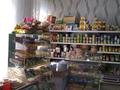 Свободное назначение, магазины и бутики · 200 м² за 16.2 млн ₸ в Боровском — фото 3
