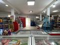 Свободное назначение, магазины и бутики • 137 м² за 53 млн 〒 в Алматы, Алатауский р-н — фото 13