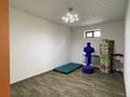 Отдельный дом · 6 комнат · 340 м² · 16 сот., Альмерек абыз 54 б за 87 млн ₸ в Байтереке (Новоалексеевке) — фото 39