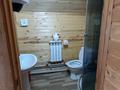 Участок · 10 соток, Щучинский, Приозерная 8А за 160 млн ₸ в Акмолинской обл. — фото 17