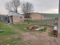 Отдельный дом · 3 комнаты · 80 м² · 10 сот., Карибаева 6 а за 20 млн ₸ в Умбетали — фото 11