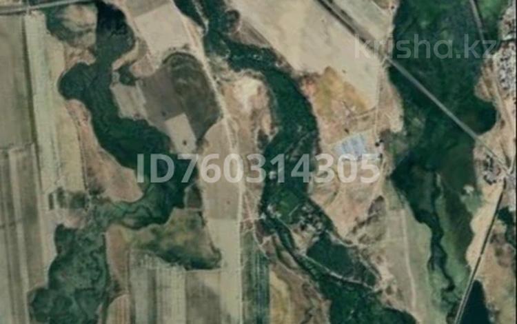 Участок · 130 га, Тараз за 130 млн ₸ — фото 2
