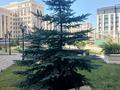 1-комнатная квартира · 44.1 м² · 7/9 этаж, Мангилик Ел за 43.5 млн ₸ в Астане, Есильский р-н — фото 13