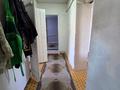 Отдельный дом · 4 комнаты · 77.7 м² · 7 сот., 5 Омская 11 за 9.9 млн ₸ в Семее — фото 9