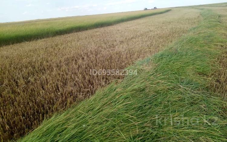 Участок · 19121 га, Мереке за 55 млн 〒 в  — фото 4