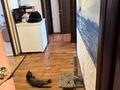 4-комнатная квартира · 72.6 м² · 1/5 этаж, Энергетиктер 38 А за 18 млн ₸ в Экибастузе — фото 5
