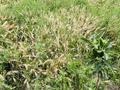 Жеке үй · 4 бөлме · 100 м² · 19 жүзд., Бектөбе ш/а. 14 — улица Кереге 14, (бывшая Кылышбай), бағасы: 20 млн ₸ в Таразе, мкр Бектобе — фото 42