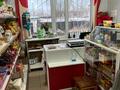 Магазины и бутики · 96 м² за 25 млн ₸ в Молодежном — фото 7