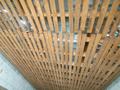 Отдельный дом · 4 комнаты · 270 м² · 10 сот., Рауан — Новостройки Рауан 2 за 15 млн ₸ в Актобе, жилой массив Рауан — фото 5