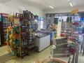 Свободное назначение, магазины и бутики, общепит • 400 м² за 85 млн 〒 в Талдыкоргане — фото 8