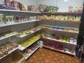 Продуктовый магазин, 55 м² за 8 млн 〒 в Астане, Алматы р-н — фото 3