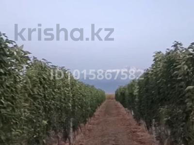 Жер телімі · 6.6 га, Еңбекші (Талғар ауданы), бағасы: 300 млн ₸ в Енбекши (Талгарский район)