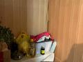 Часть дома · 5 комнат · 264.4 м² · 10 сот., 1-я Костанайская за 53 млн ₸ в Костанайской обл. — фото 25
