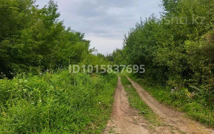 Участок · 6 соток, мкр Таусамалы 81 — СТ Казахстан -2030 за 10 млн ₸ в Алматы, Наурызбайский р-н — фото 2
