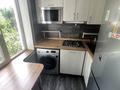 1-бөлмелі пәтер · 34 м² · 3/5 қабат, Радостовца 15 — Толе би - Розыбакиева, бағасы: 31.9 млн ₸ в Алматы, Алмалинский р-н — фото 3