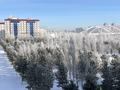 3-комнатная квартира · 111.4 м² · 4/9 этаж, Алихана Бокейхана 6 — Президентский центр, парк за 64 млн ₸ в Астане, Есильский р-н — фото 16
