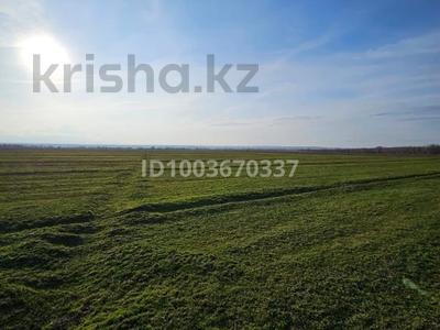 Участок · 10 га, Узынагаш за 110 млн 〒