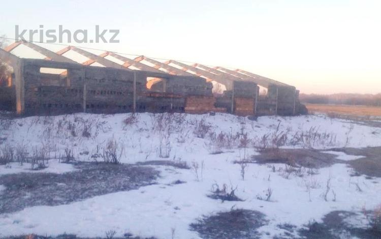 Продажа Сельхоз Животных В Ско Кызылжарский Район