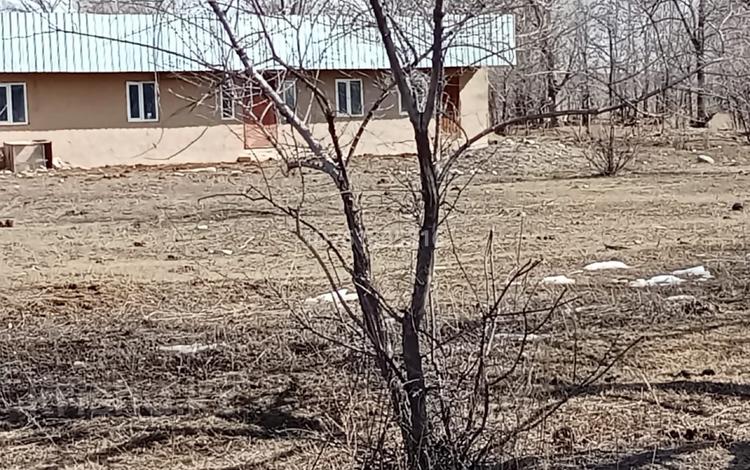 Участок · 40 га, Жаркент за 30 млн ₸ — фото 3