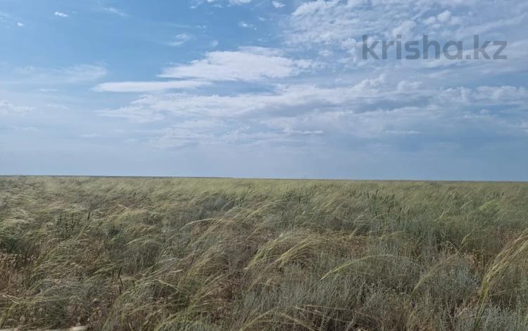 Участок · 300 га, Жаңбыршы — Айтуар за 10 млн ₸ в Форте-шевченко — фото 8