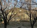 Отдельный дом · 5 комнат · 180 м² · 8 сот., мкр Кызылжар, Құртаев 25 за 50 млн ₸ в Шымкенте, Абайский р-н — фото 56