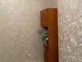2-бөлмелі пәтер · 50 м² · 5/5 қабат, Аса ш/а. 24 — Брак и семья, бағасы: 100 000 ₸ в Таразе, мкр Аса — фото 3