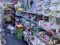 Магазины и бутики · 155 м² за 775 000 ₸ в Шымкенте — фото 10