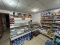Магазины и бутики · 149 м² за 47 млн ₸ в Костанае — фото 6