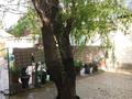 Отдельный дом · 4 комнаты · 119.8 м² · 8 сот., мкр Алгабас — Молдияр Серикбаев за 39.2 млн ₸ в Алматы, Алатауский р-н — фото 18