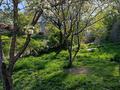 Дача · 3 комнаты · 150 м² · 12 сот., Горная 164 за 25.5 млн 〒 в Каскелене — фото 3
