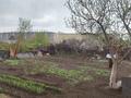 Жеке үй · 5 бөлме · 135 м² · 10 сот., Нуржанова, бағасы: 57 млн ₸ в Караганде, Казыбек би р-н — фото 29