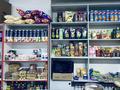 Магазины и бутики · 90 м² за 500 000 ₸ в Алматы, Наурызбайский р-н — фото 14