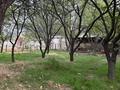 Участок · 15 соток, мкр Самал-1 71 — Рыскулова напротив тойханы Муса вдоль дороги за 235 млн ₸ в Шымкенте, Абайский р-н — фото 20