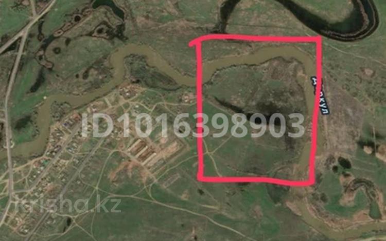 Жер телімі · 24 га, Зеленое, бағасы: 22 млн ₸ — фото 2
