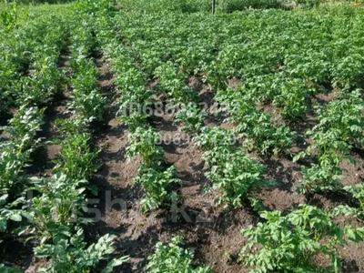 Дача · 3 комнаты · 100 м² · 6 сот., Солнечная 63 за 2 млн 〒 в Усть-Каменогорске, Ахмирово