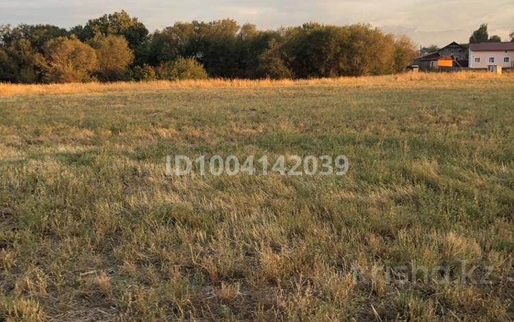 Участок · 6.35 га, Садовая за 130 млн ₸ в Байтереке (Новоалексеевке) — фото 2