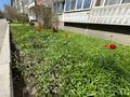 3-бөлмелі пәтер · 68.8 м² · 2/5 қабат, Бажова 339, бағасы: 24.9 млн ₸ в Усть-Каменогорске — фото 44