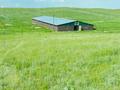 Сельское хозяйство • 40000 м² за 145 млн 〒 в Турарских дач — фото 9